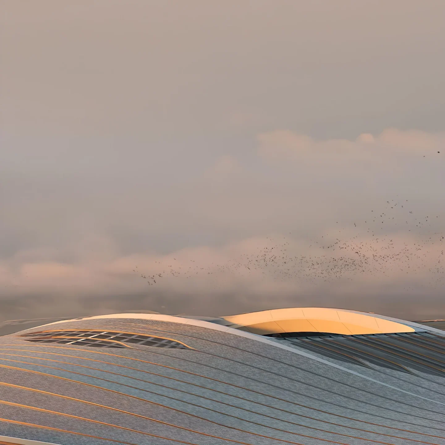 grand stade de casablanca 2030 14